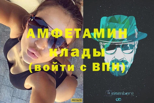прущие грибы Беломорск