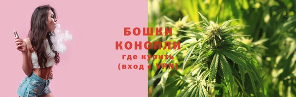 прущие грибы Беломорск