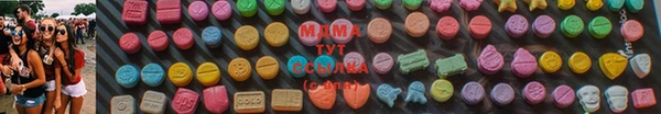 прущие грибы Беломорск