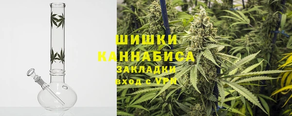 дмт Белокуриха