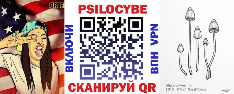 Купить закладки  Пласт  Галлюциногенные грибы мицелий 